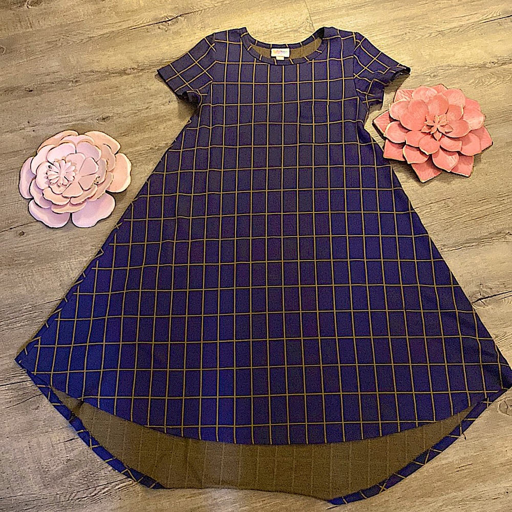NWT (no tag) Lularoe Carly Dress XXS